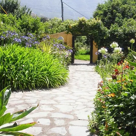 Finca Las Llanadas - Tfn01026-fya Los Realejos