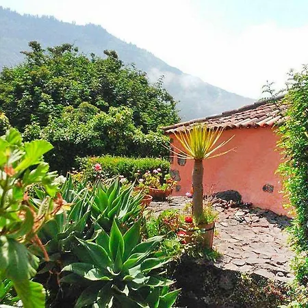 Finca Las Llanadas - Tfn01026-fya Los Realejos